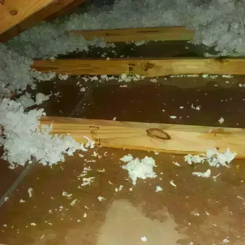 Attic Water Damage in Kane, PA